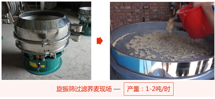 旋振篩過濾蕎麥現場，產量可達2噸每小時。